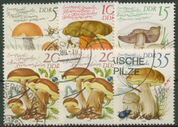 DDR 1980 Pilze Speisepilze 2551/56 Gestempelt - Used Stamps