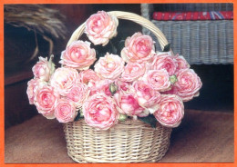 CP Fleurs Roses Rose Dans Panier Carte Vierge TBE - Blumen