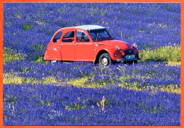 Automobile Citroen 2 Cv Rouge Voiture Auto Carte Vierge TBE - Passenger Cars