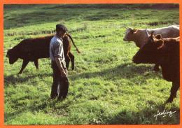 Vieux Métiers Terroir Campagne Vacher Vaches CIM  Carte Vierge TBE - Farmers