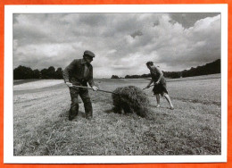 Vieux Métiers Paysans Fenaison Champ Carte Vierge TBE - Farmers