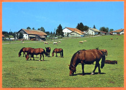 CP Cheval  Chevaux 18 Jura Suisse Carte Vierge TBE - Horses