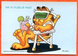 Chat Garfield Illustrateur Jim Davis 1978 Ne M'oublie Pas ! Theme Chats - Katzen