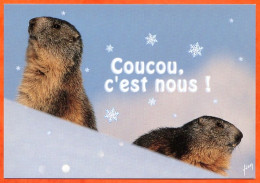 Animal MARMOTTE 2 Marmottes Coucou C'est Nous !  Carte Vierge TBE - Sonstige & Ohne Zuordnung