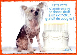 CP Chien Feeling Extincteur Gratuit De Bougies Edit Combier Carte Vierge TBE - Hunde