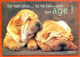 CP Chien Feeling Tu Ne Fais Pas Ton Age ! Edit Combier Carte Vierge TBE - Hunde