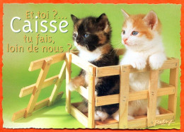 CP Chat Feeling Caisse Tu Fais Loin De Nous ? Edit Combier Carte Vierge TBE - Katzen