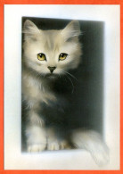 Animal CHAT Carte Vierge TBE - Cats