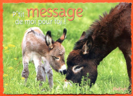 CP Ane Anes Feeling Petit Message De Moi Pour Toi !  Edit Combier Carte Vierge TBE - Donkeys