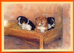 Chiens Animal Chien 3 Chiots  Carte Vierge TBE - Hunde