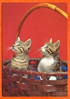 Animal  CHAT  N° 20  2 Chats Dans Panier Carte Vierge TBE - Cats
