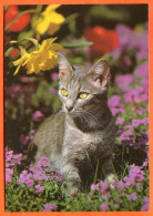 Animal  CHAT Dans Fleurs Hauskatze Carte Vierge TBE - Cats