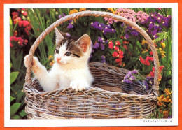 Animal  CHAT  N° 6 Panier Fleurs Carte Vierge TBE - Chats