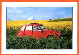 CP Automobile Citroen 2 Cv Rouge Champs  Voiture Auto Carte Vierge TBE - Passenger Cars