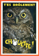 Animal Oiseau Chouette Humour FUNNYS  T'es Drolement Chouette ! Carte Vierge TBE - Vögel