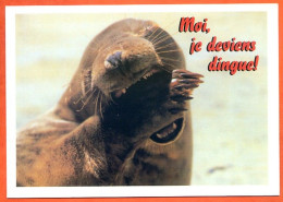 Animal Phoque Humour Moi Je Deviens Dingue !  Carte Vierge TBE - Autres & Non Classés