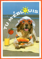 Animal Chien Humour FUNNYS Tu M'éblouis Carte Vierge TBE - Chiens