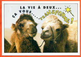 Animal Chameau Humour FUNNYS La Vie à Deux ça Vous Transforme ! Carte Vierge TBE - Other & Unclassified