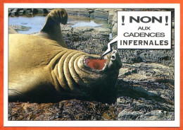 Animal Humour FUNNYS Non Aux Cadences Infernales Carte Vierge TBE - Other & Unclassified