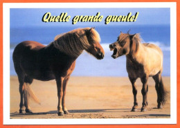 Animal Cheval Humour 2  Chevaux Quelle Grande Gueule !  Carte Vierge TBE - Chevaux