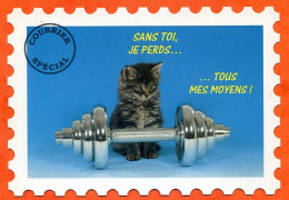 CarteTimbre Humour CHAT  Avec Haltères Sans Toi Je Perd Mes Moyens ! Carte Vierge TBE - Cats