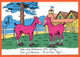 HUMOUR Tiercé PMU Chevaux Jockey Désarçonné  Illustrateur Gougeon TBE - Humor