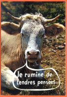 Animal Humour Vache 9 CIM By Spadem Carte Vierge TBE - Cows