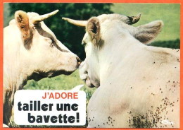 Animal Humour Vache 8 CIM  Carte Vierge TBE - Vaches