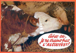 Animal Humour Vache 5 CIM  Carte Vierge TBE - Cows