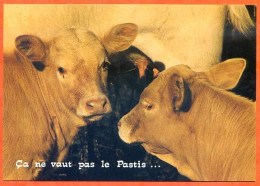 Animal Humour Vache 11  Carte Vierge TBE - Koeien