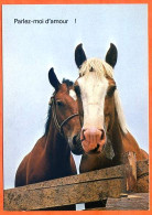 CP Cheval 2 Tetes Parlez Moi D'amour Carte Vierge TBE - Horses