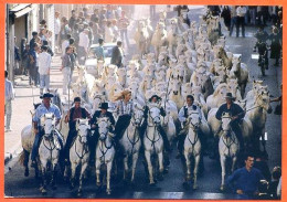 Chevaux De Camargue  Gardians Carte Vierge TBE - Horses