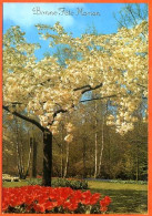 Bonne Fête Maman Nature Arbres Fleurs 2 Fête Des Mères  Carte Vierge TBE - Fête Des Mères