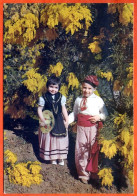 Enfants En Costumes Niçois  Mimosa Cote D'Azur Carte Vierge TBE - Scènes & Paysages