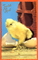 CP Joyeuses Paques 3 Poussin Oeuf Photochrom Carte Vierge TBE - Easter