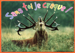 Cerf Sans Toi Je Craque Animal  Carte Vierge TBE - Autres & Non Classés