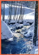 NEIGE ET SOLEIL  56 Torrent Paysage Hiver CIM Carte Vierge TBE - Sonstige & Ohne Zuordnung