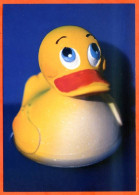 Canard Triste Carte Vierge TBE - Animali Abbigliati