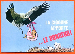 ALSACE La Cigogne Apporte Le Bonheur ! Bébé Nid Oiseaux CIM HANSI Carte Vierge TBE - Geboorte