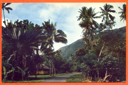 Polynésie Française TAHITI La Route Vers Tautira Carte Vierge TBE ( Scan Recto Verso) - Polynésie Française