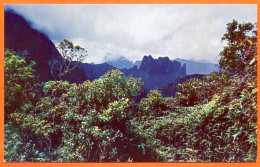 Polynésie Française TAHITI Vue De Mont Aorai Carte Vierge TBE ( Scan Recto Verso) - Polynésie Française