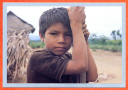 CP Enfants Enfant Amazonie Péruvienne Miguel Campa Carte Vierge TBE - Portraits