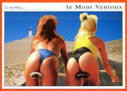 Cyclisme LE MONT VENTOUX Ca Gratte Du Coté Là !!  Carte Vierge TBE - Pin-Ups