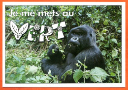 Animal Singe Humour FUNNYS Je Me Mets Au Vert Carte Vierge TBE - Monkeys