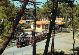 France Cap Ferret (Gironde) Le Petit Train - Autres & Non Classés