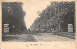 60-CHANTILLY-N°506-C/0213 - Chantilly