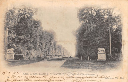 60-CHANTILLY-LE CHÂTEAU-N°506-C/0159 - Chantilly