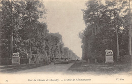 60-CHANTILLY-LE CHÂTEAU-N°506-C/0161 - Chantilly