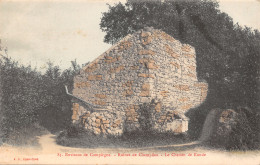 60-CHAMPLIEU-RUINES-N°506-C/0077 - Other & Unclassified