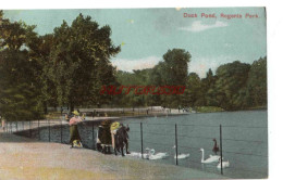 CPA LONDON - DUCK POND, REGENTS PARK - Other & Unclassified